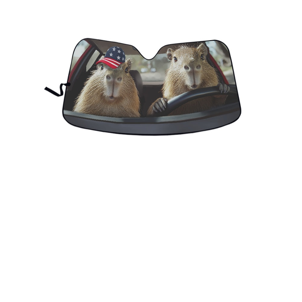 Car sun visor (145*69.5cm)