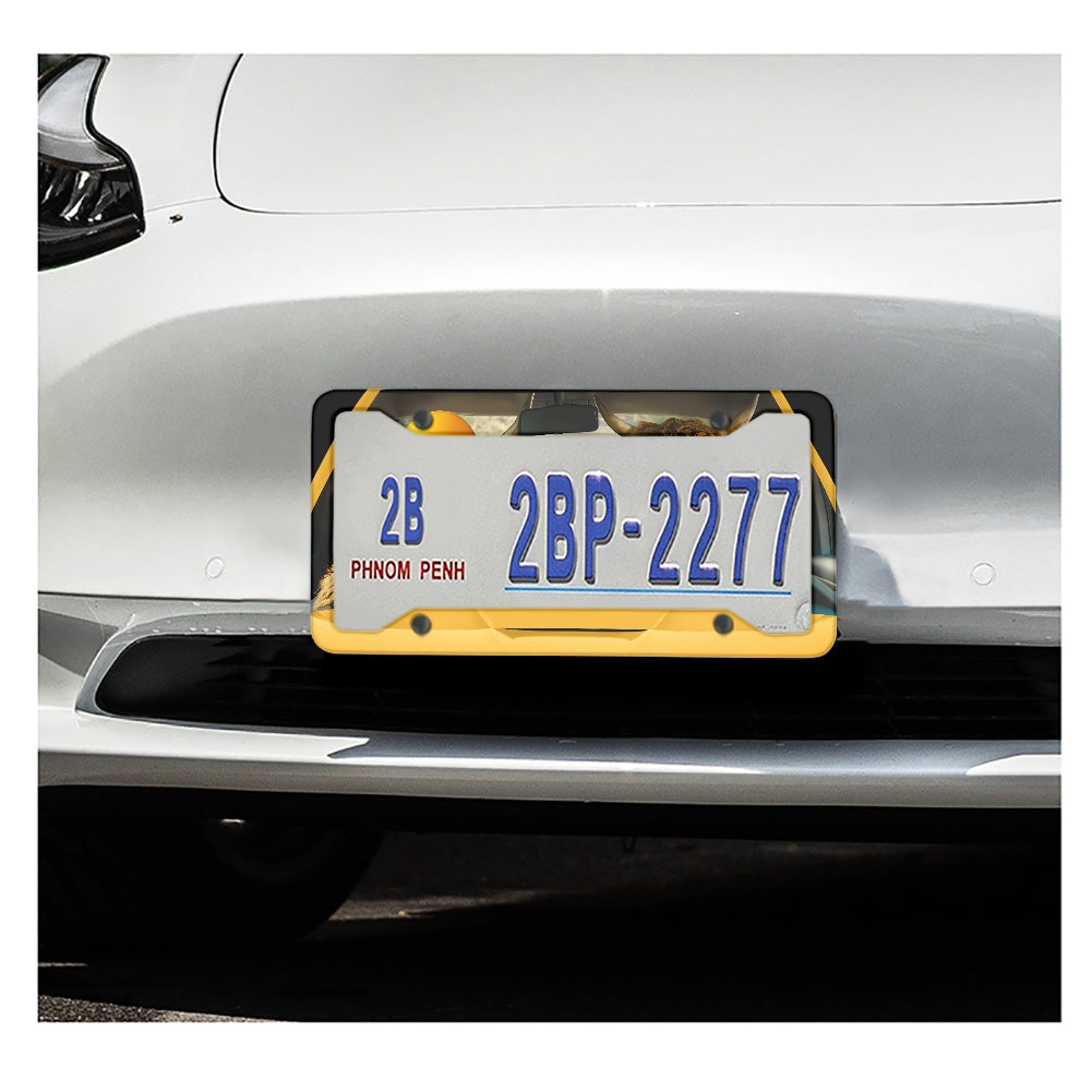 License plate frame