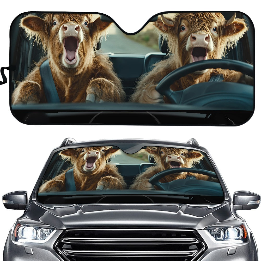 Car sun visor (145*69.5cm)