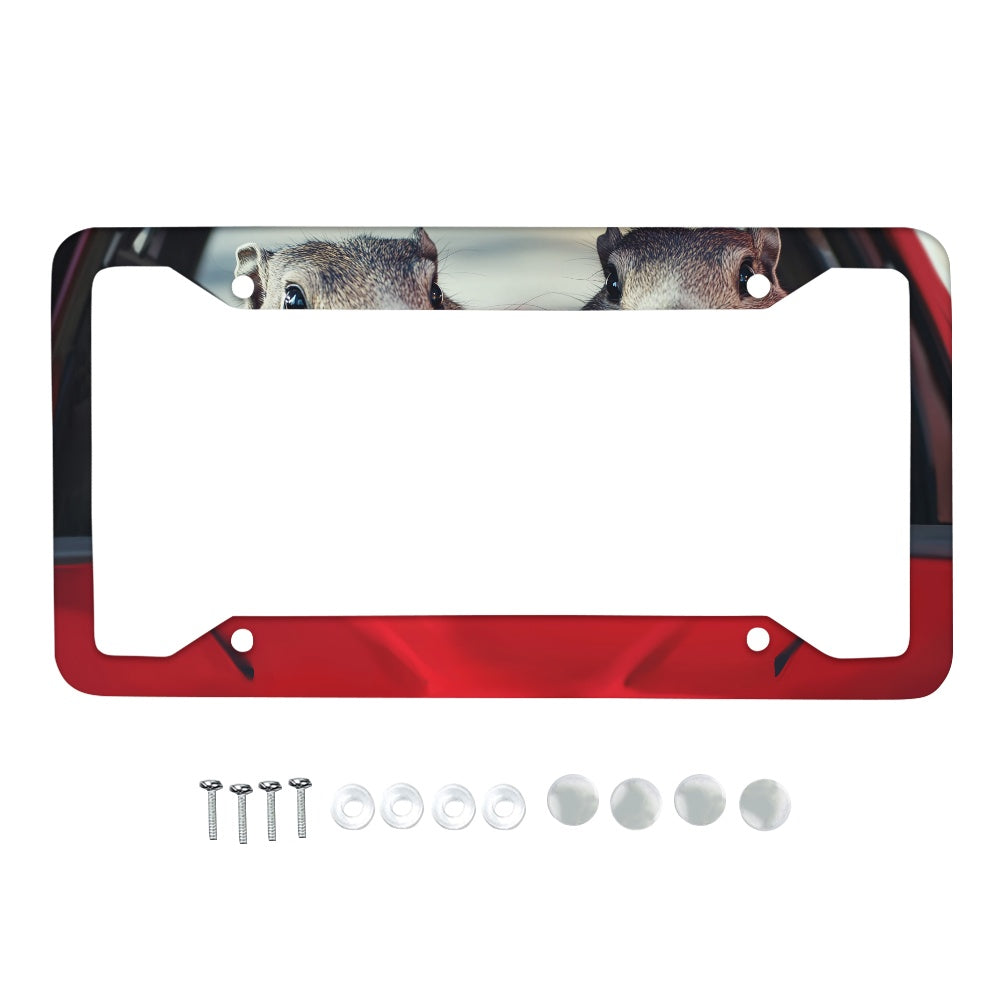 License plate frame