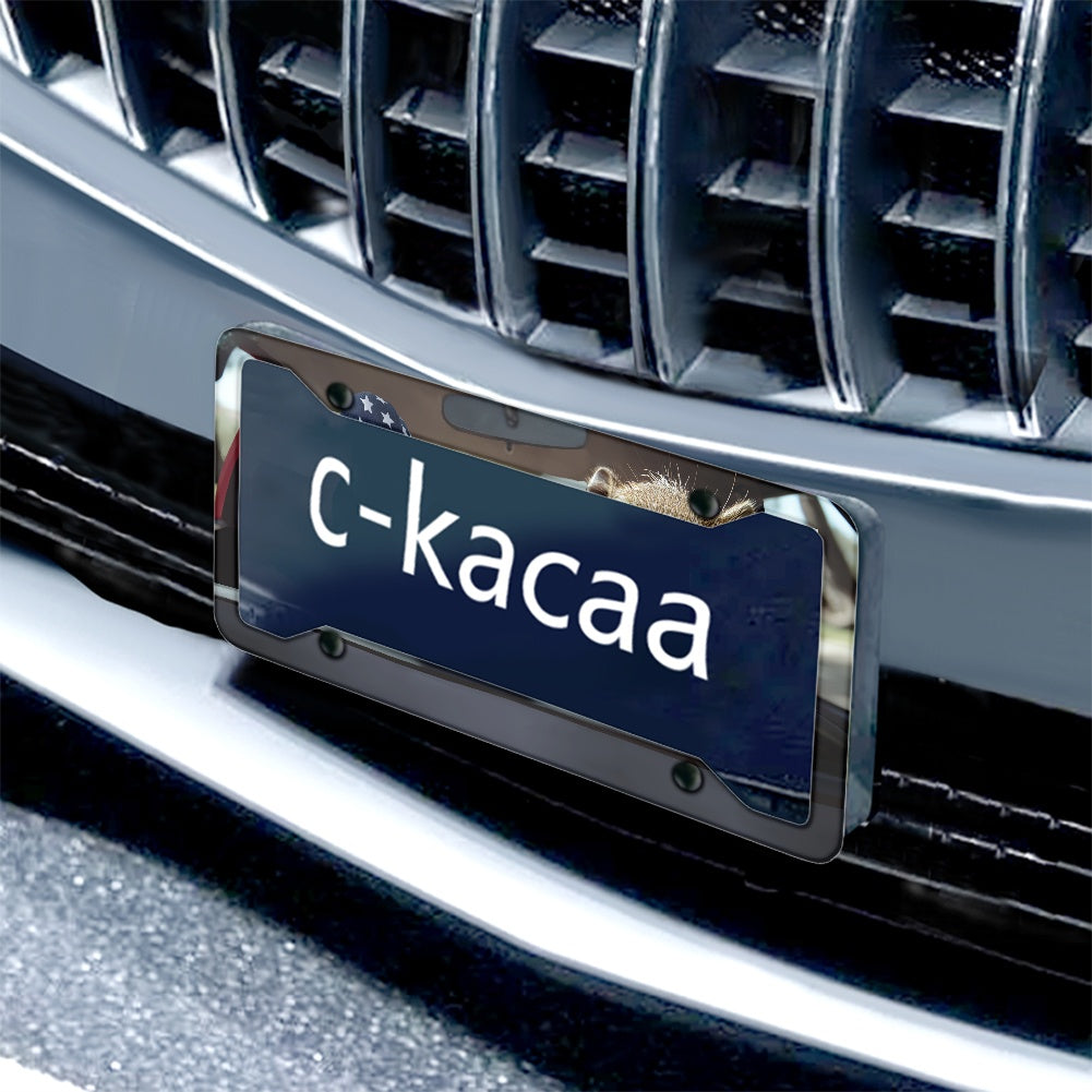 License plate frame