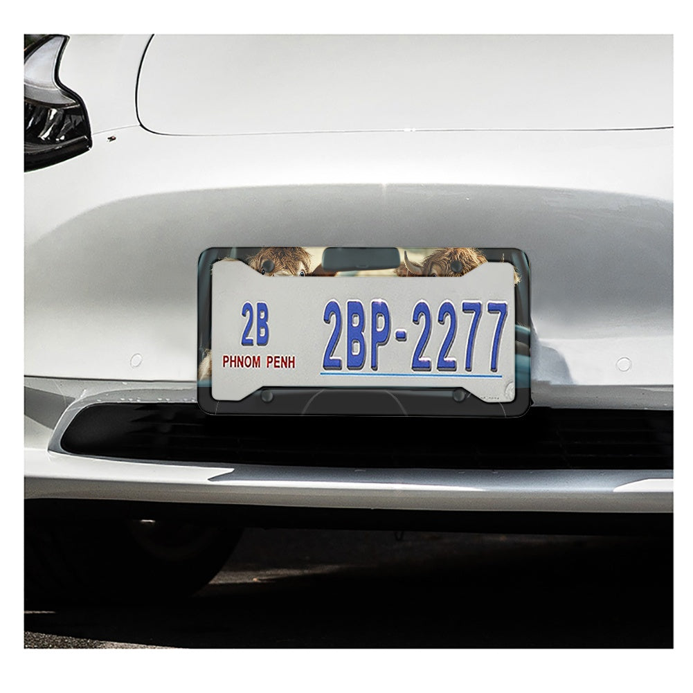 License plate frame