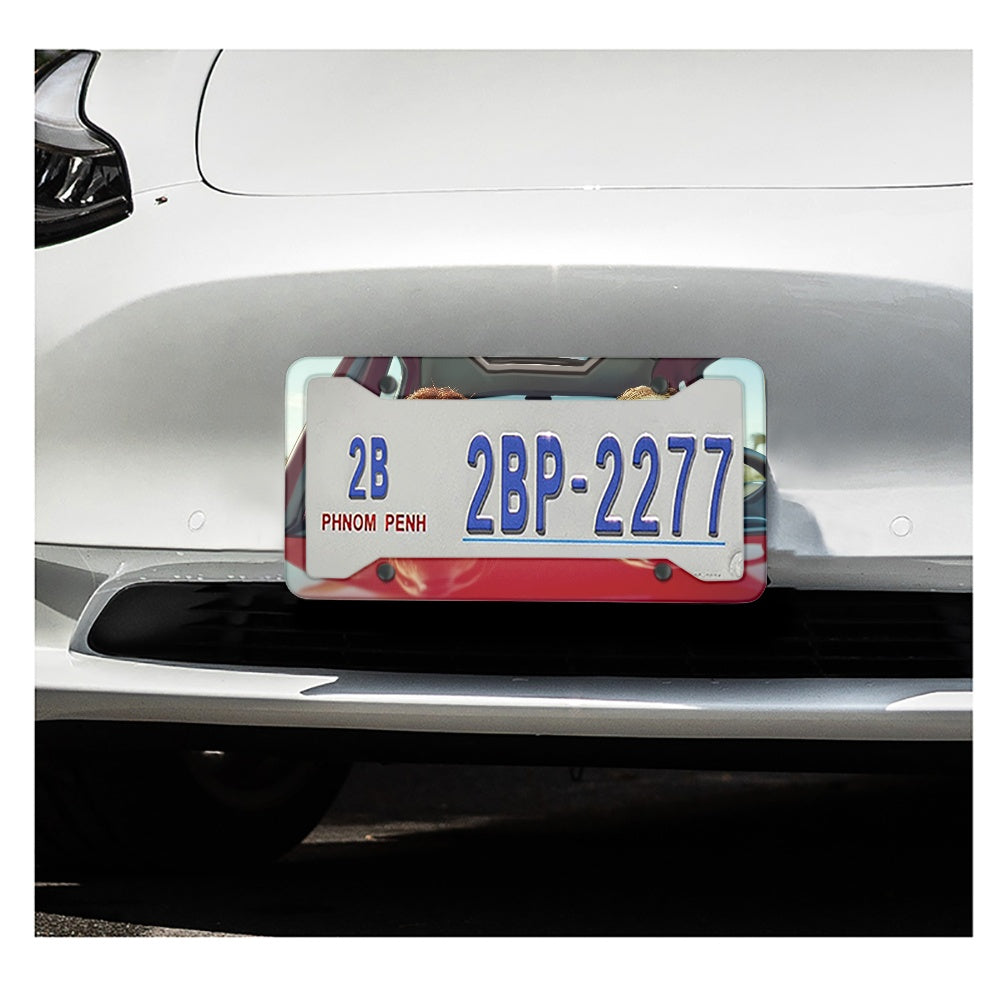 License plate frame