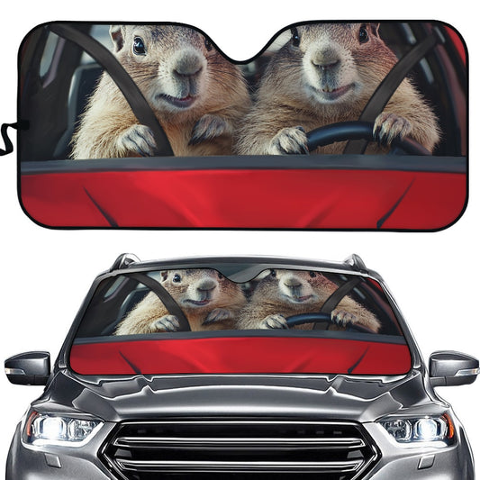 Car sun visor (145*69.5cm)