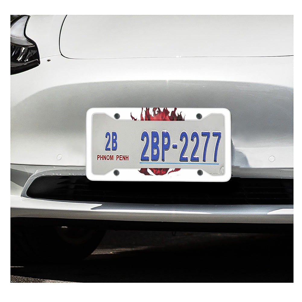 License plate frame