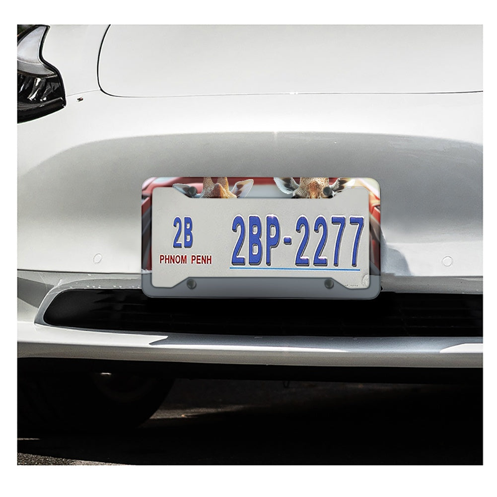 License plate frame