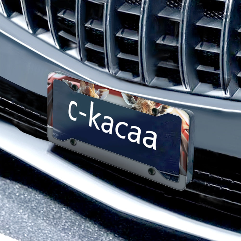 License plate frame