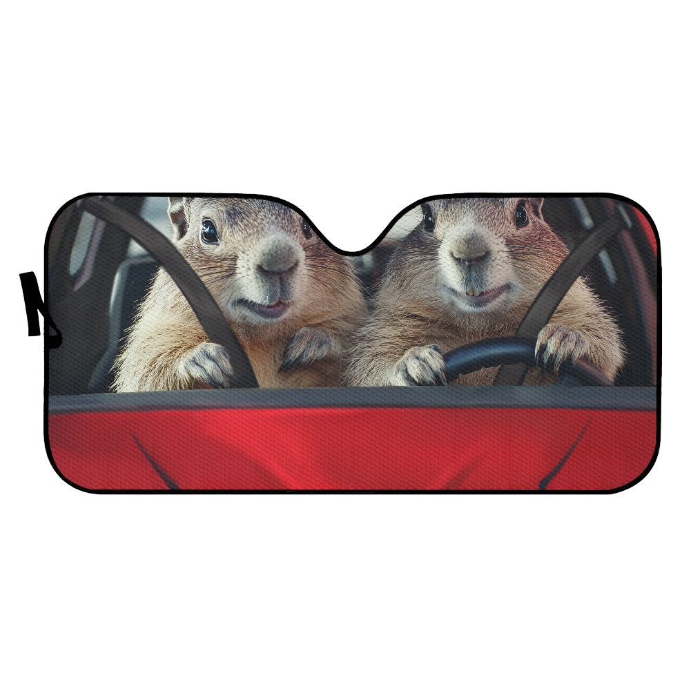 Car sun visor (145*69.5cm)