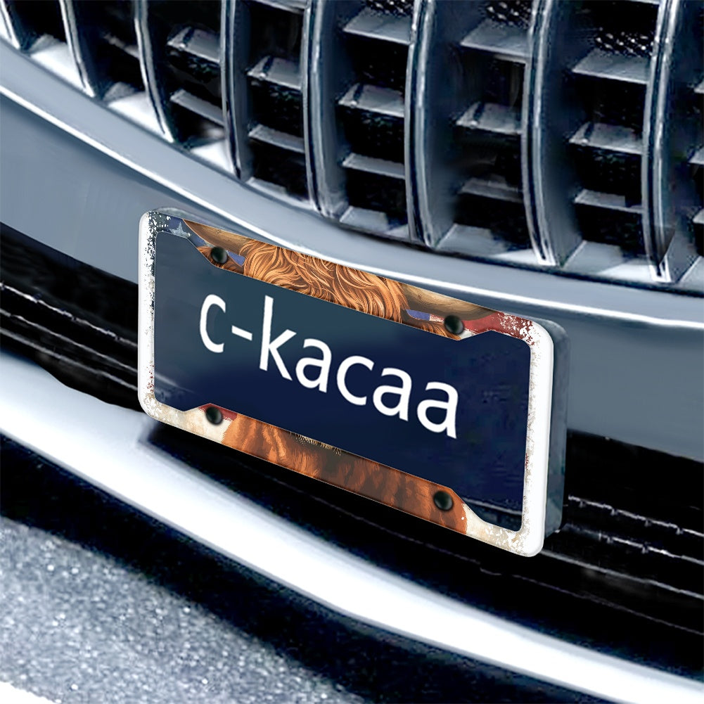 License plate frame