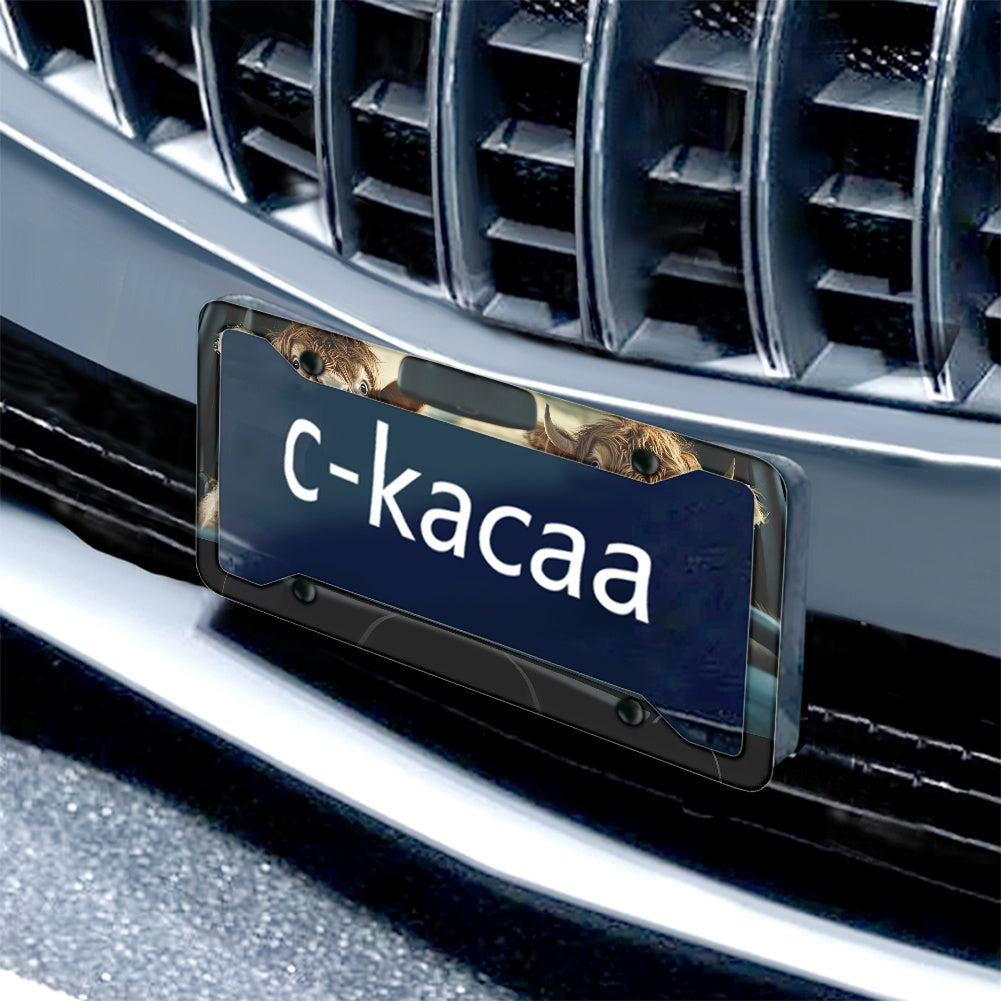 License plate frame