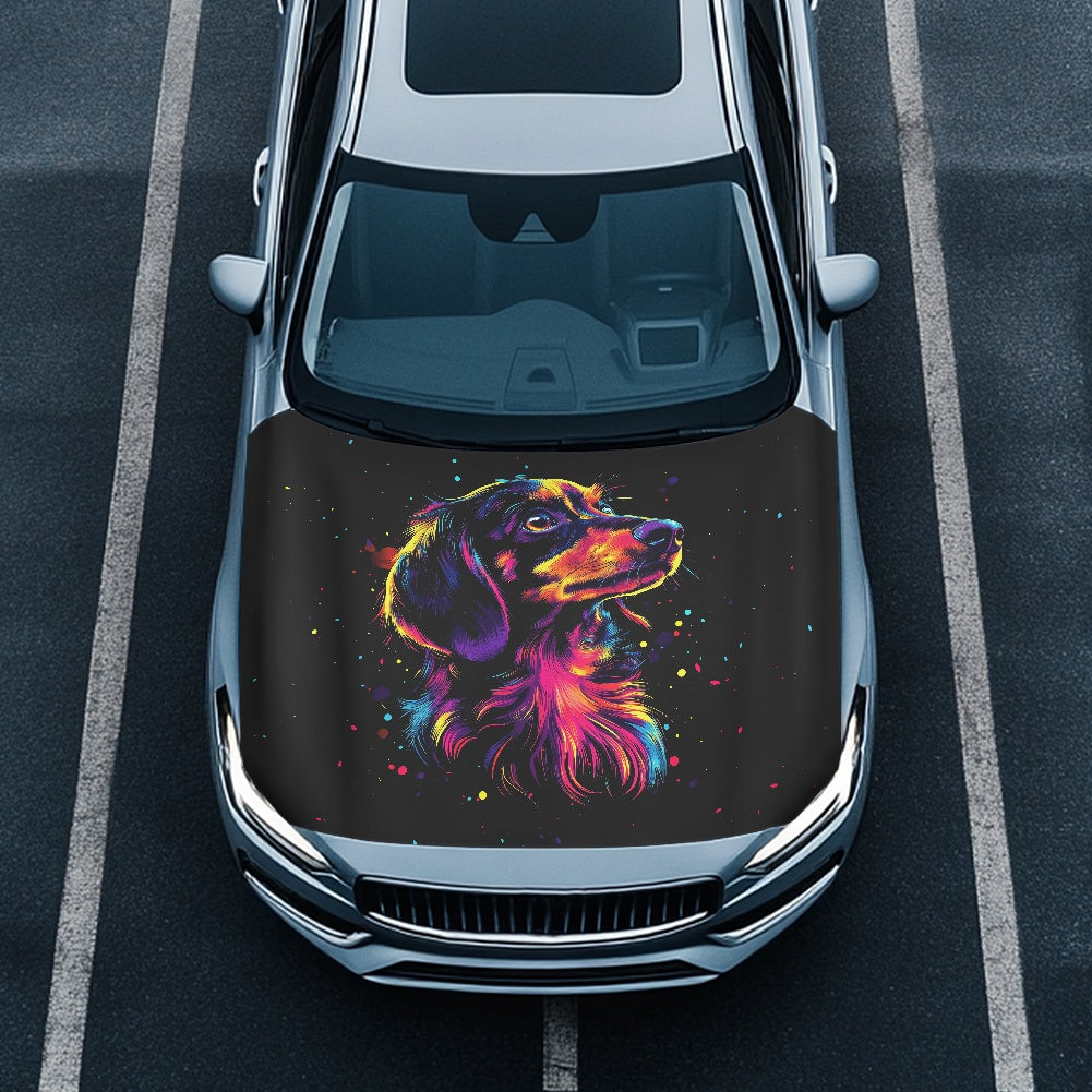 Car hood cover