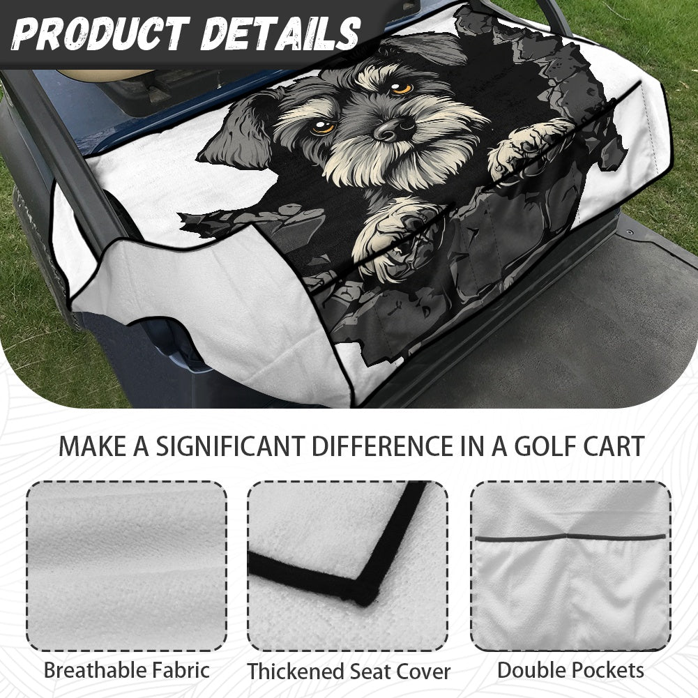 Golf cart cover (with pocket)