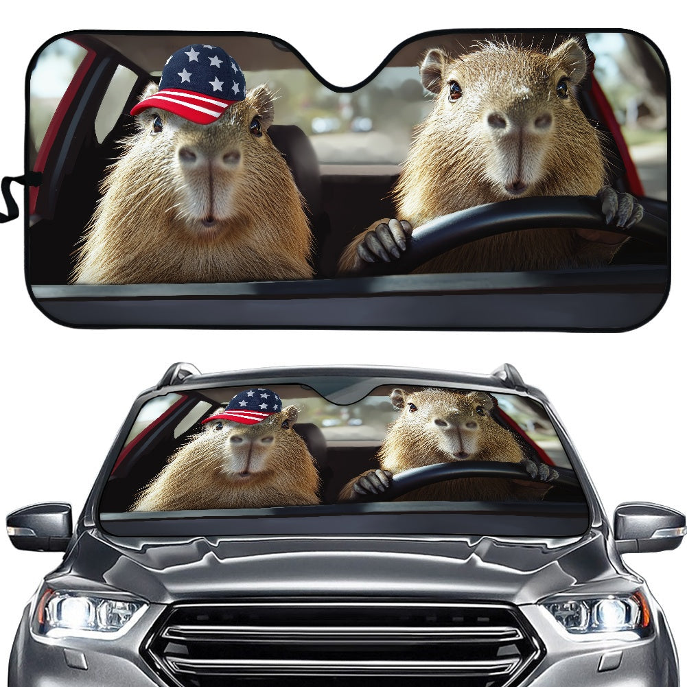 Car sun visor (145*69.5cm)