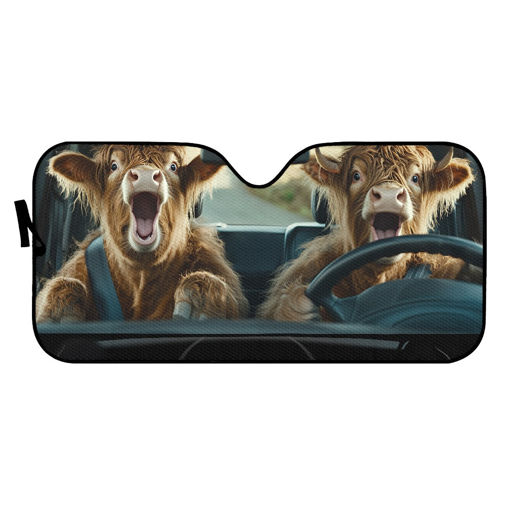 Car sun visor (145*69.5cm)