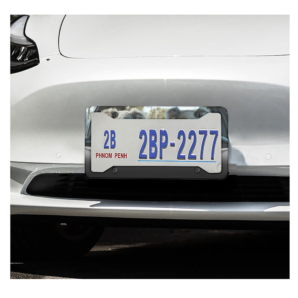 License plate frame