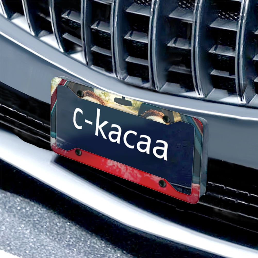 License plate frame