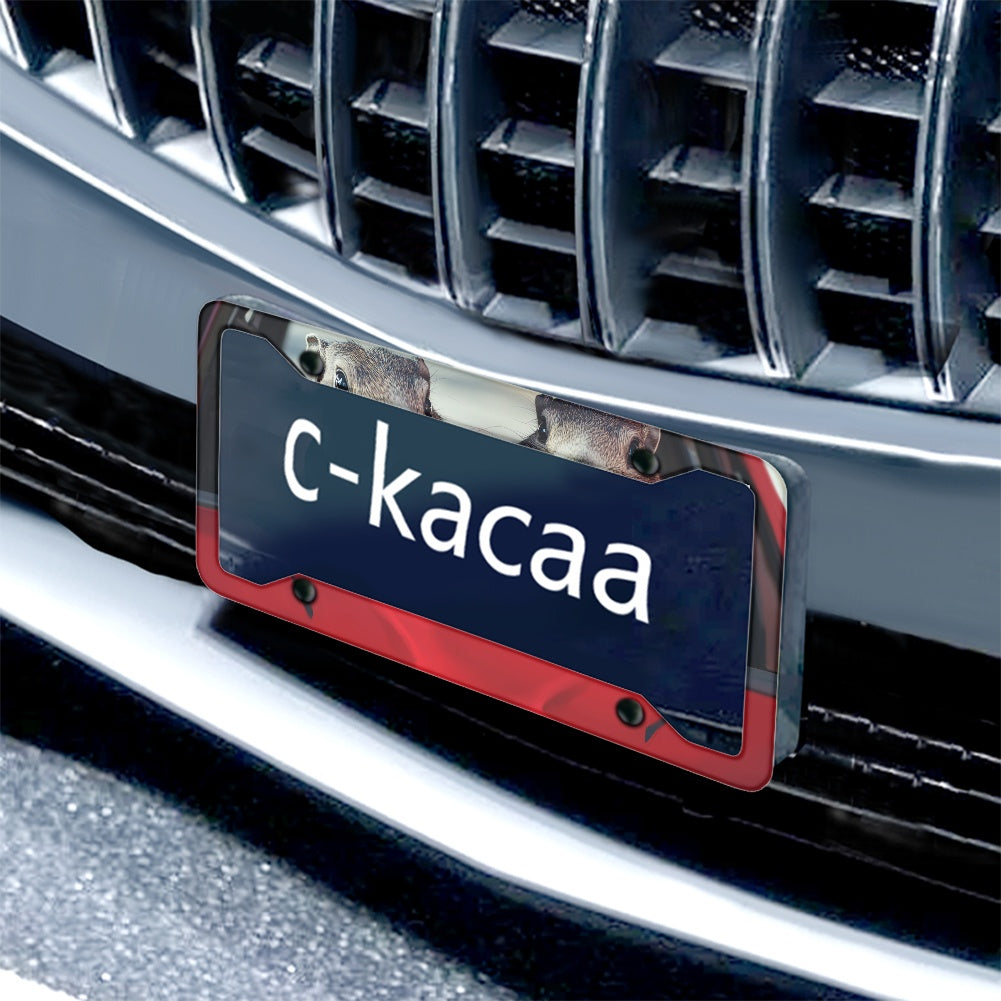 License plate frame