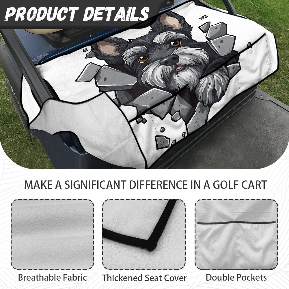 Golf cart cover (with pocket)