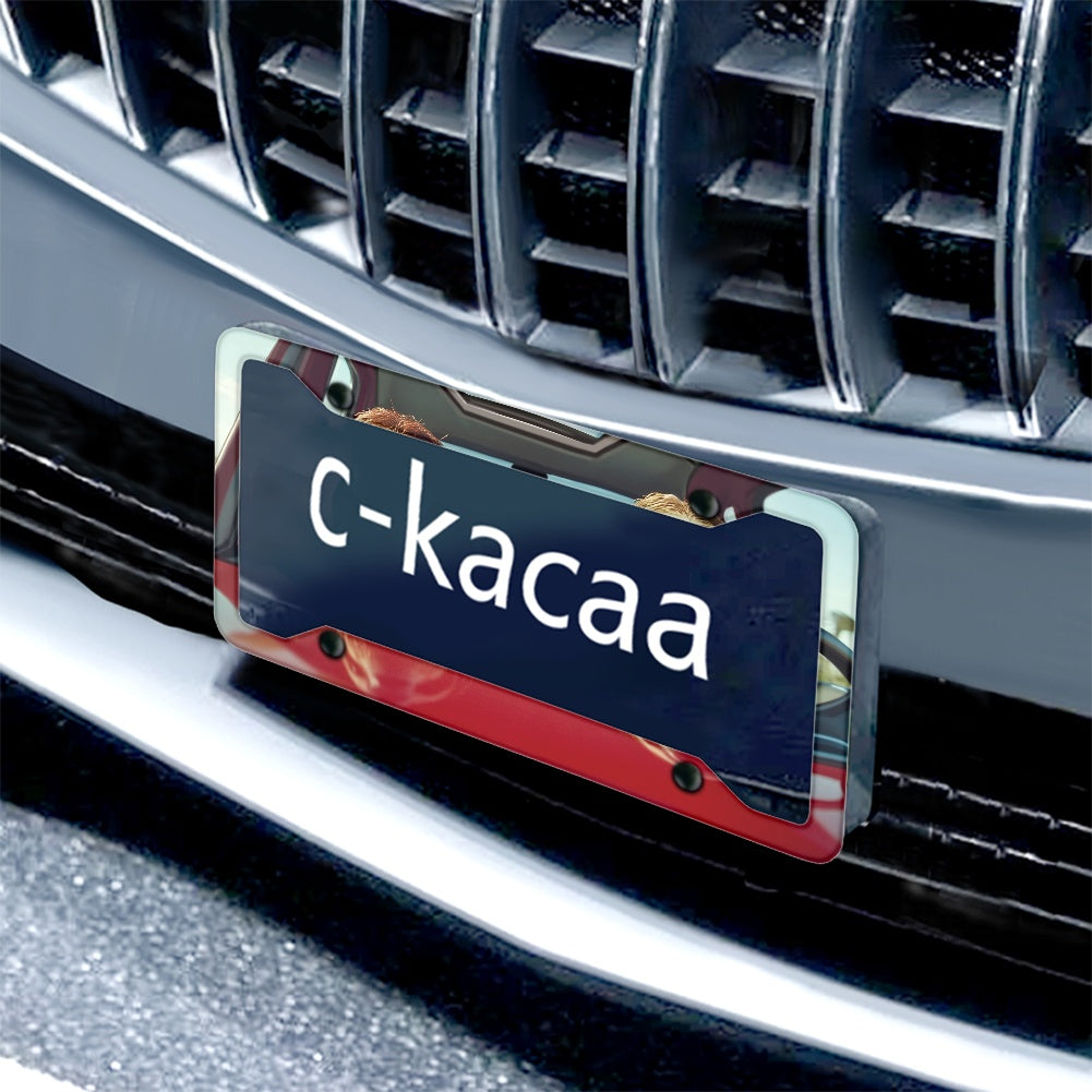 License plate frame