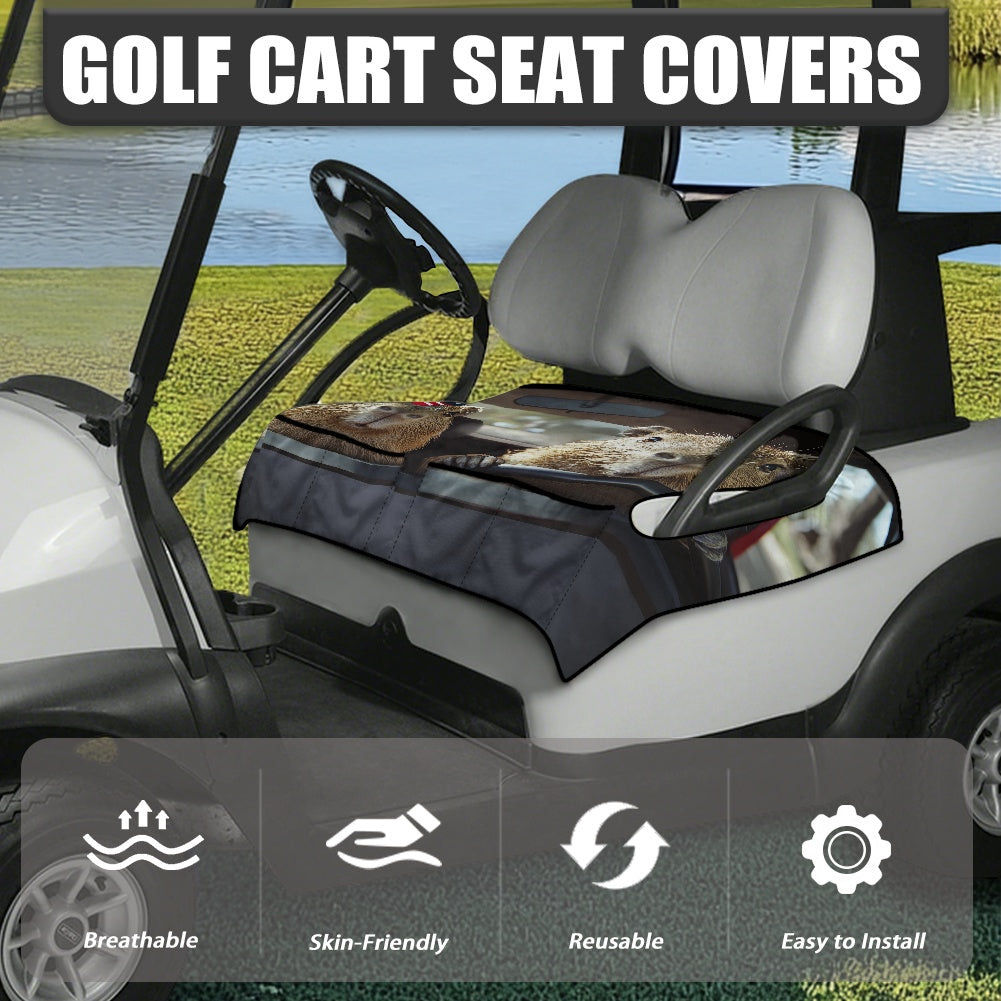 Golf cart cover (with pocket)