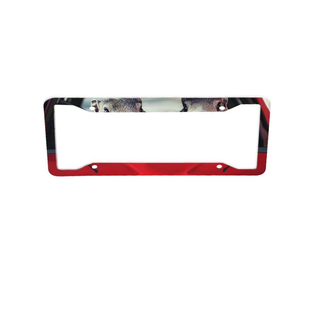 License plate frame