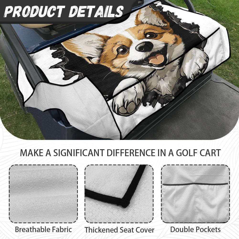 Golf cart cover (with pocket)