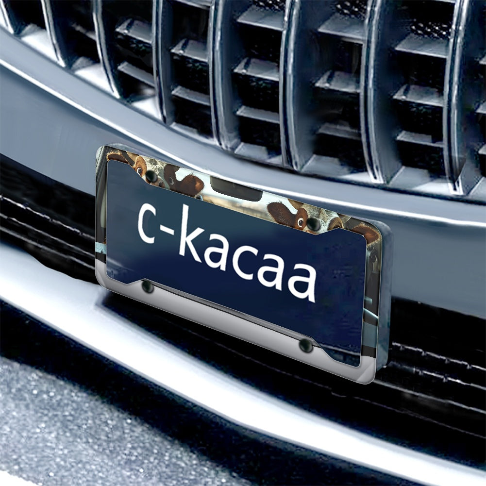 License plate frame