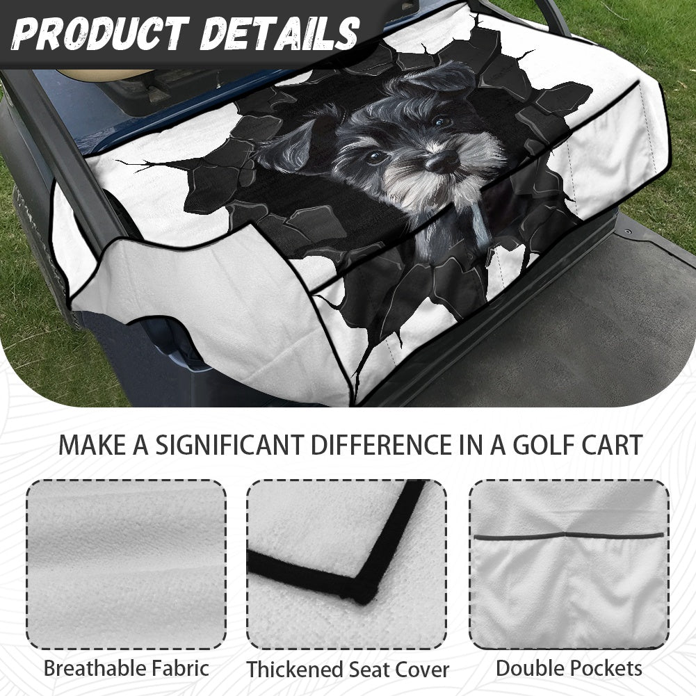 Golf cart cover (with pocket)