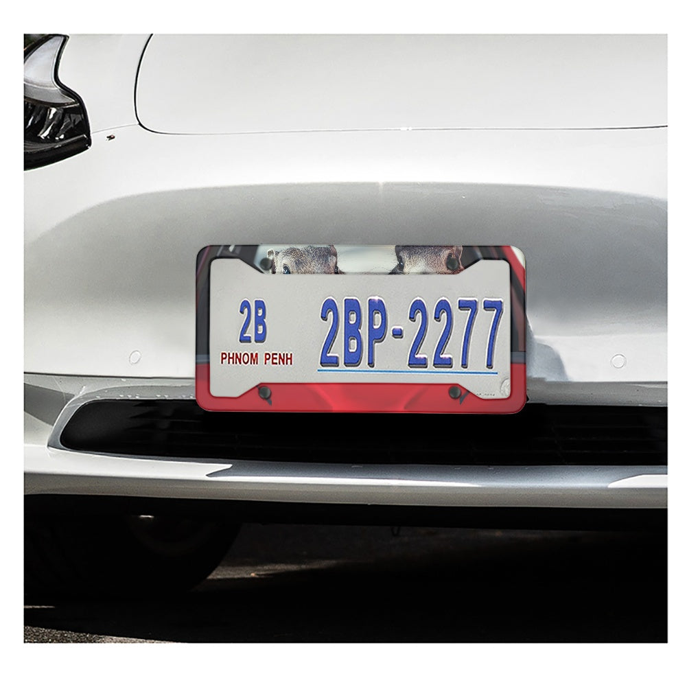 License plate frame