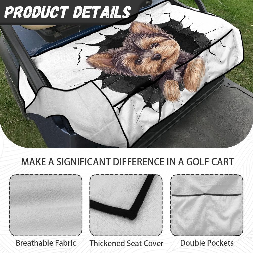 Golf cart cover (with pocket)