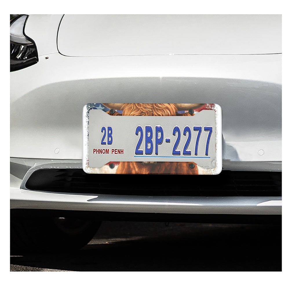 License plate frame